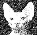 Thumbnail for version as of 02:31, June 28, 2011