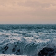WAVE