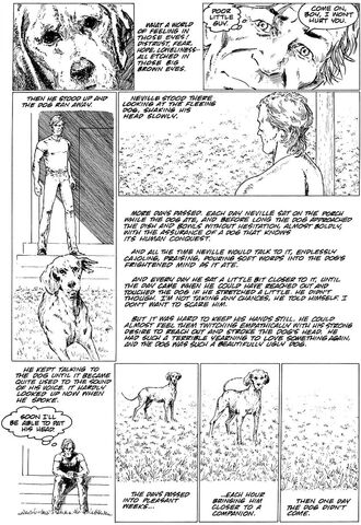 File:NevilleDog2.jpg