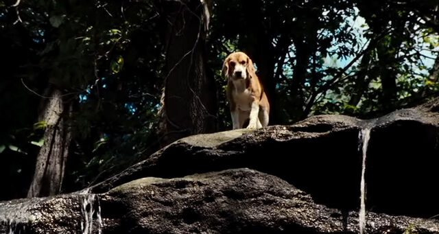 File:MovieScreenshot060.jpg