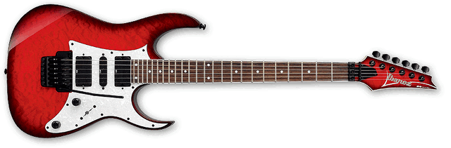 File:RG350QM TRB.gif