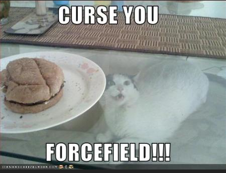 File:CYF Capture.png