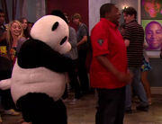 Pandamonium-panda-1