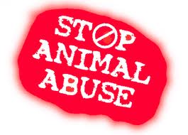 File:End Animal Abuse.jpg