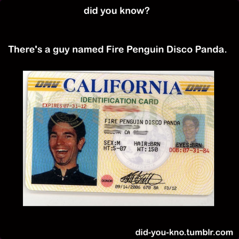 File:Tumblr lvtbi09gcQ1qkvbwso1 r1 500.png