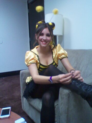 File:IMG 20120305 093750.jpg