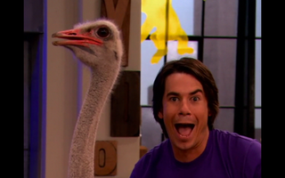 File:S320x2440-1.png