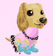 My Doggy