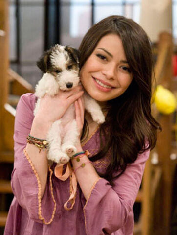 File:Icarly-idate-sam-and-freddie-6.jpg
