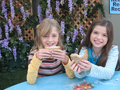 Thumbnail for version as of 18:43, March 13, 2011