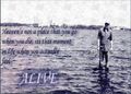 Thumbnail for version as of 23:16, February 3, 2012