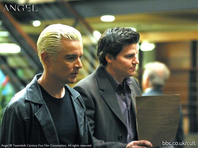 File:Spike-and-angel-season-5-fights-spangel-2269109-1024-768.jpg