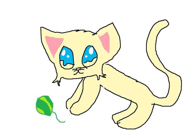 File:Chizzycat.jpg