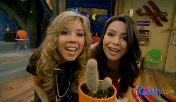 File:Camcactus1.jpg