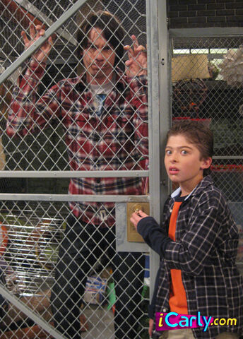 File:Basement.jpg