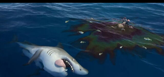 File:Death of a shark.jpg