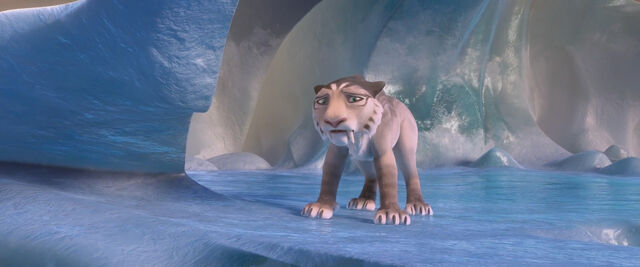 File:Shira injured.jpeg