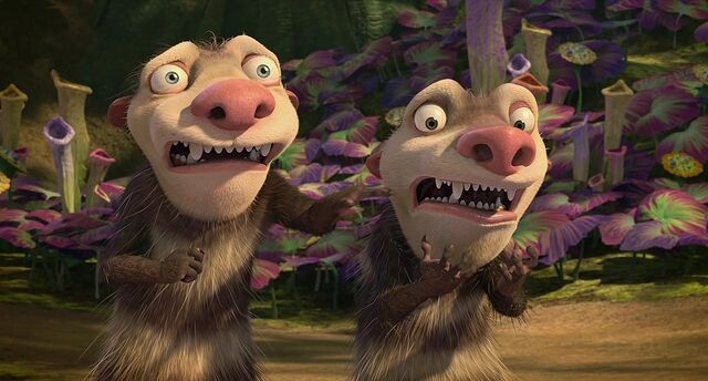 File:Nails Oppossums.jpg