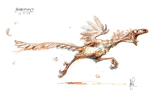File:4archaeopteryx a.jpg