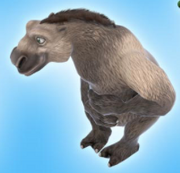 Alternative popup pose