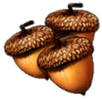 Acorns2