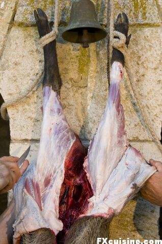 File:Spit-wild-boar-06.jpg