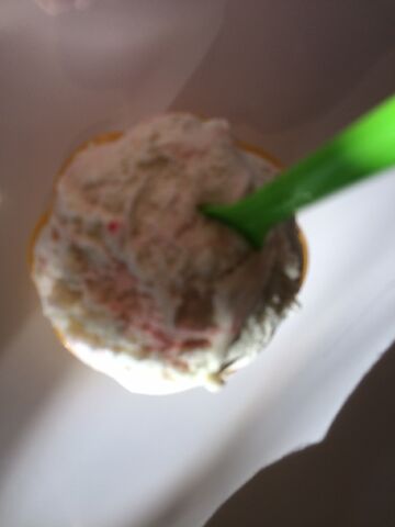 File:More peppermint gelato.jpeg