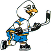 WHLGulls