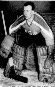 Vladimirnadrchal