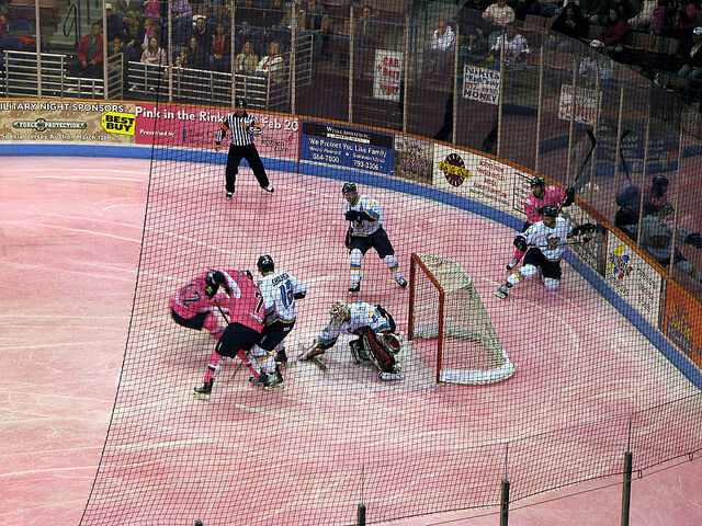 File:Pink-in-the-Rink.jpg