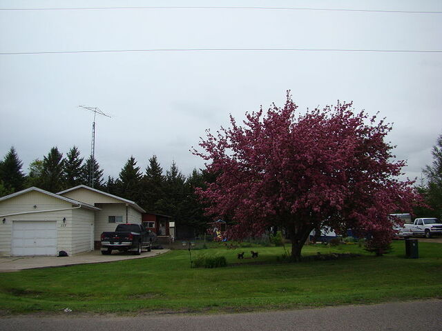File:Austin, Manitoba.jpg