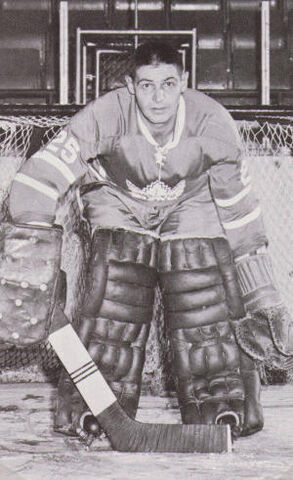 File:TerrysawchukTor.jpg
