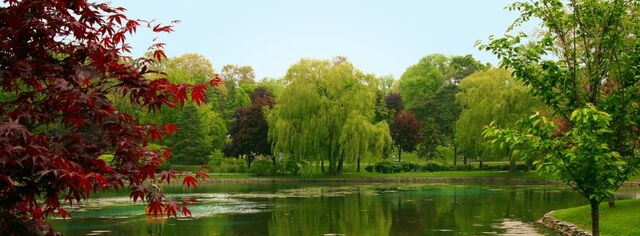 File:Homer Glen, Illinois.jpg