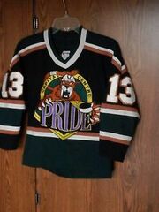 Capital Centre Pride jersey
