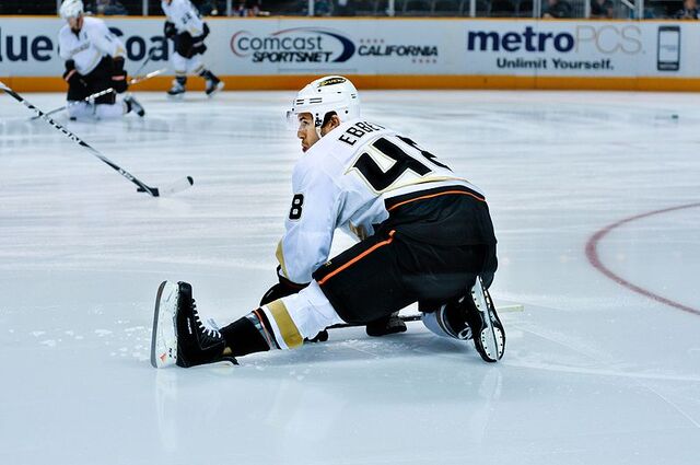 File:Andrew Ebbett.jpg