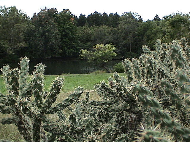 File:Lisle, Illinois.jpg
