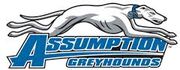 Assumption Greyhounds