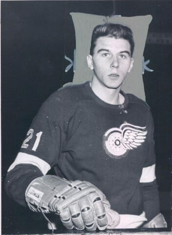 File:Gordonstrate.jpg