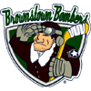 Brownstown Bombers logo