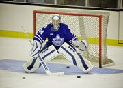 An ice hockey goalie in a blue jersey and white pads crouches in front of a goal.