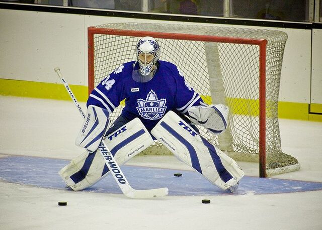 File:James Reimer.jpg