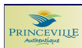 Princeville Logo