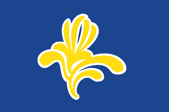 File:Brussels Flag.png