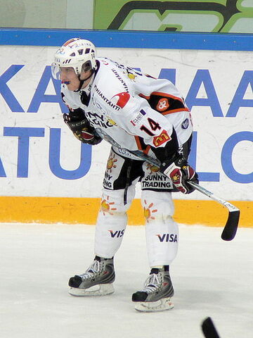 File:Leinonentommi.jpg