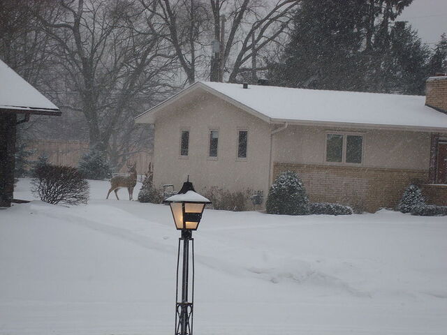 File:Golden Valley, Minnesota.jpg
