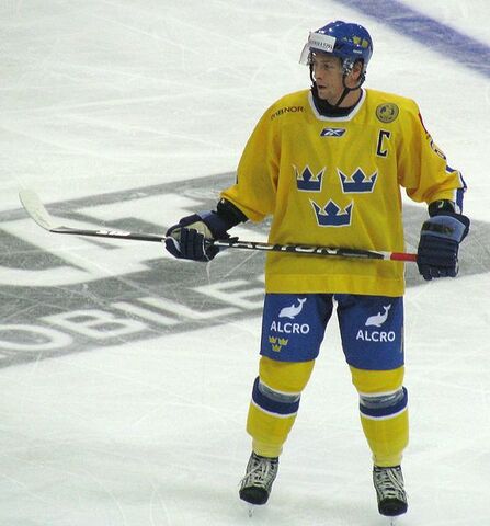 File:Magnus Johansson.jpg