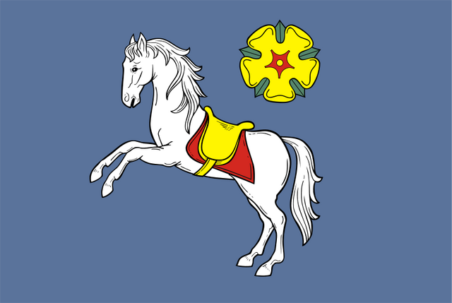 File:Ostrava Flag.png