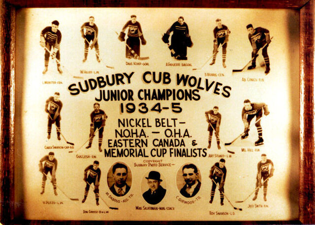 File:34-35Sudcubs.jpg