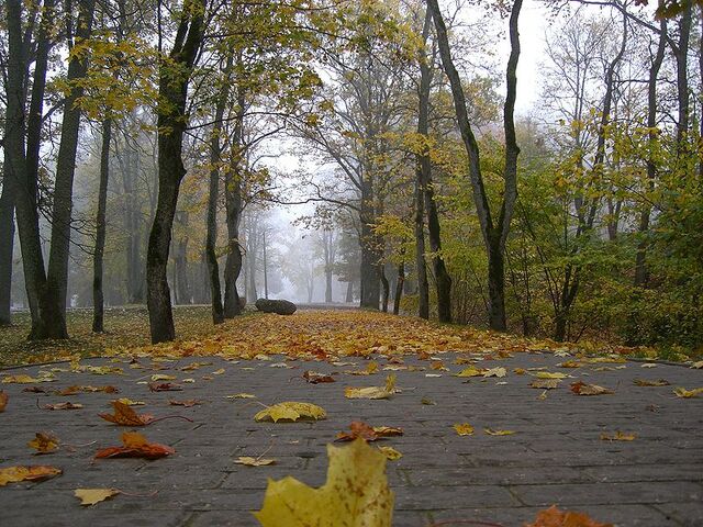 File:Jūrmala.jpg