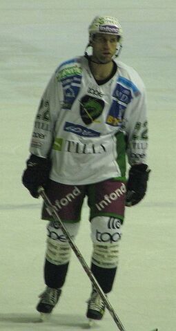 File:Greg Kužnik 291109.jpg